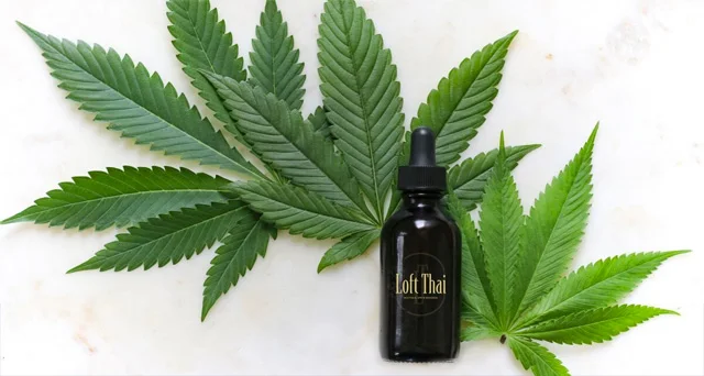 CBD Massage After a Workout: Evidence and current Status
