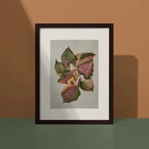 Framed botanical study of layered green, ochre and pink leaves from the Tapanee Bautang archive