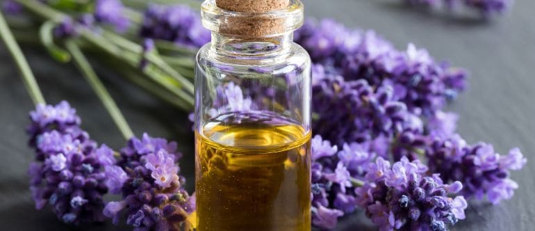 Luxurious Lavender Oil Massage at Loft Thai Spa
